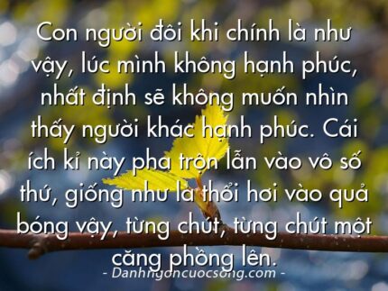 Con người đôi khi chính là như vậy, lúc mình không hạnh phúc, nhất định sẽ không muốn nhìn thấy người khác hạnh phúc. Cái ích kỉ này pha trộn lẫn vào vô số thứ, giống như là thổi hơi vào quả bóng vậy, từng chút, từng chút một căng phồng lên.