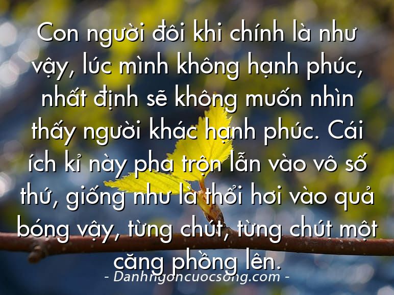 Con người đôi khi chính là như vậy, lúc mình không hạnh phúc, nhất định sẽ không muốn nhìn thấy người khác hạnh phúc. Cái ích kỉ này pha trộn lẫn vào vô số thứ, giống như là thổi hơi vào quả bóng vậy, từng chút, từng chút một căng phồng lên.