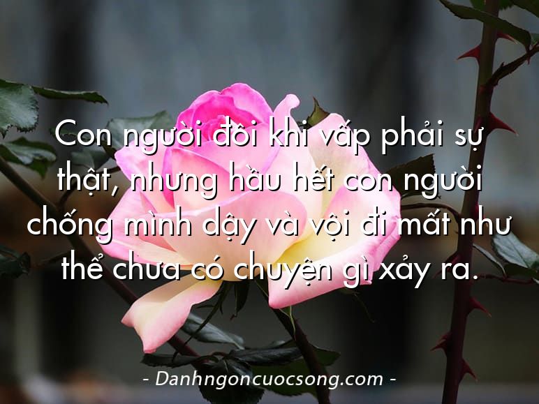 Con người đôi khi vấp phải sự thật, nhưng hầu hết con người chống mình dậy và vội đi mất như thể chưa có chuyện gì xảy ra.