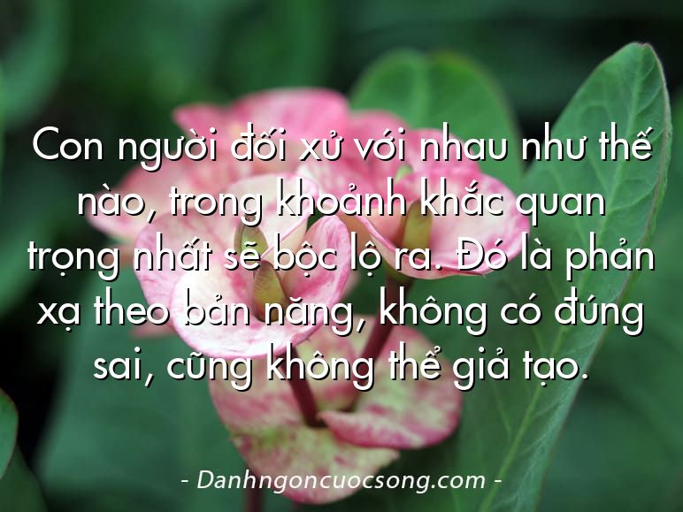 Con người đối xử với nhau như thế nào, trong khoảnh khắc quan trọng nhất sẽ bộc lộ ra. Đó là phản xạ theo bản năng, không có đúng sai, cũng không thể giả tạo.