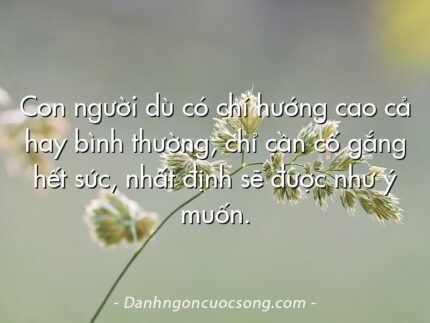 Con người dù có chí hướng cao cả hay bình thường, chỉ cần cố gắng hết sức, nhất định sẽ được như ý muốn.