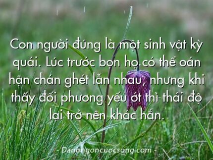 Con người đúng là một sinh vật kỳ quái. Lúc trước bọn họ có thể oán hận chán ghét lẫn nhau, nhưng khi thấy đối phương yếu ớt thì thái độ lại trở nên khác hắn.