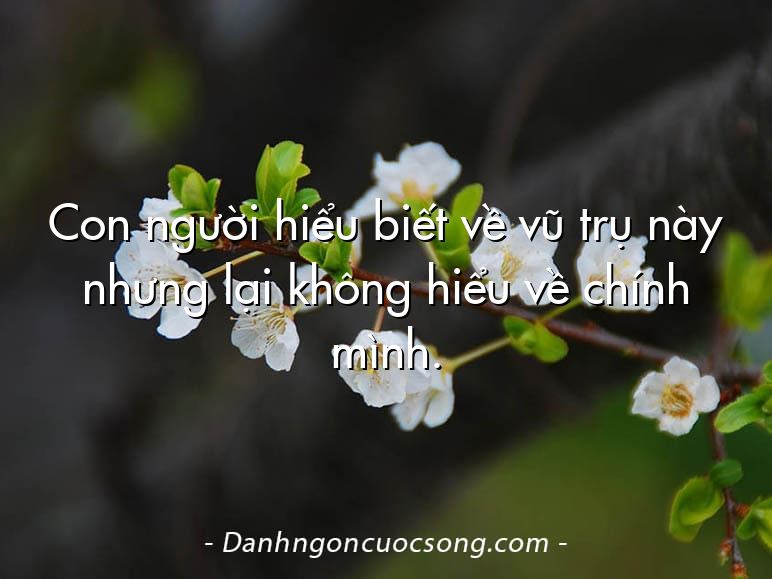 Con người hiểu biết về vũ trụ này nhưng lại không hiểu về chính mình.