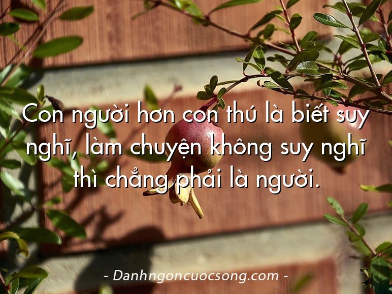 Con người hơn con thú là biết suy nghĩ, làm chuyện không suy nghĩ thì chẳng phải là người.