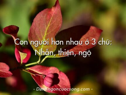 Con người hơn nhau ở 3 chữ: Nhẫn, thiện, ngộ