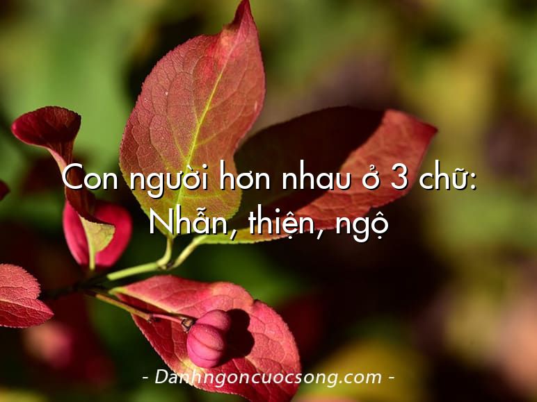 Con người hơn nhau ở 3 chữ: Nhẫn, thiện, ngộ