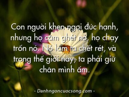 Con người khen ngợi đức hạnh, nhưng họ căm ghét nó, họ chạy trốn nó. Nó làm ta chết rét, và trong thế giới này, ta phải giữ chân mình ấm.