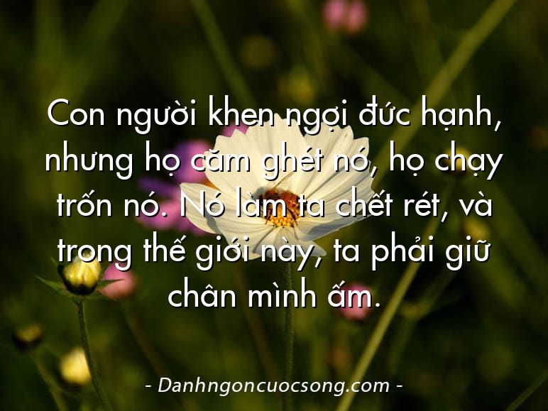 Con người khen ngợi đức hạnh, nhưng họ căm ghét nó, họ chạy trốn nó. Nó làm ta chết rét, và trong thế giới này, ta phải giữ chân mình ấm.