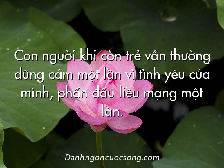 Con người khi còn trẻ vẫn thường dũng cảm một lần vì tình yêu của mình, phấn đấu liều mạng một lần.