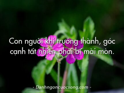 Con người khi trưởng thành, góc cạnh tất nhiên phải bị mài mòn.