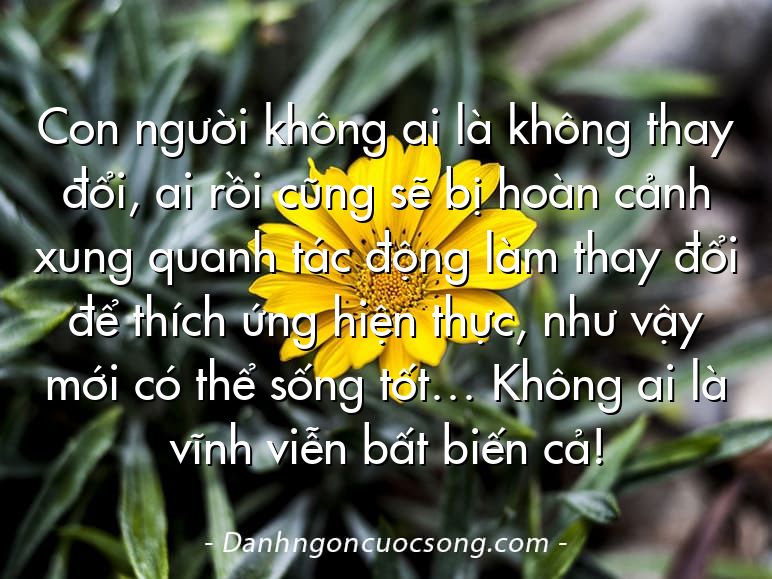 Con người không ai là không thay đổi, ai rồi cũng sẽ bị hoàn cảnh xung quanh tác động làm thay đổi để thích ứng hiện thực, như vậy mới có thể sống tốt… Không ai là vĩnh viễn bất biến cả!