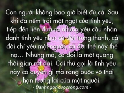 Con người không bao giờ biết đủ cả. Sau khi đã nếm trải mật ngọt của tình yêu, tiếp đến liền đưa ra những yêu cầu nhân danh tình yêu như: cả đời trung thành, cả đời chỉ yêu một người, cả đời thế này thế nọ… Nhưng mà, cả đời là một quãng thời gian rất dài. Cái thứ gọi là tình yêu này có quyền gì mà ràng buộc vô thời hạn tương lai của một người.