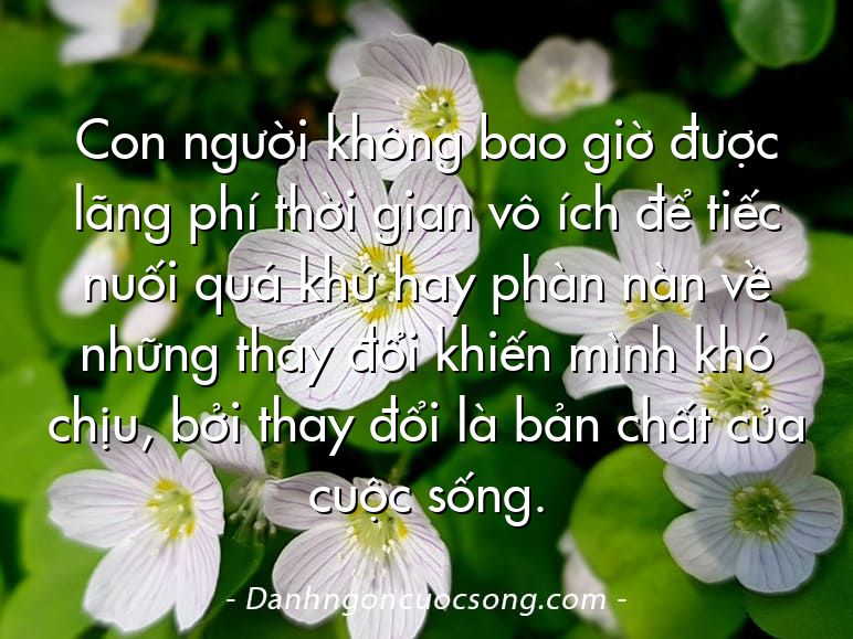 Con người không bao giờ được lãng phí thời gian vô ích để tiếc nuối quá khứ hay phàn nàn về những thay đổi khiến mình khó chịu, bởi thay đổi là bản chất của cuộc sống.