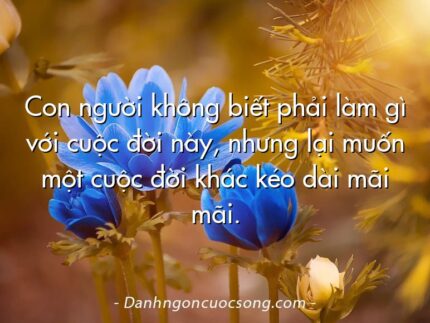 Con người không biết phải làm gì với cuộc đời này, nhưng lại muốn một cuộc đời khác kéo dài mãi mãi.