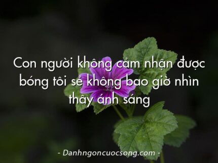 Con người không cảm nhận được bóng tôi sẻ không bao giờ nhìn thây ánh sáng
