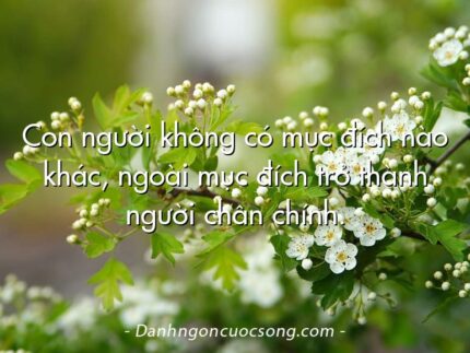 Con người không có mục đích nào khác, ngoài mục đích trở thành người chân chính.