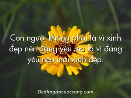 Con người không phải là vì xinh đẹp nên đáng yêu mà là vì đáng yêu nên mới xinh đẹp.