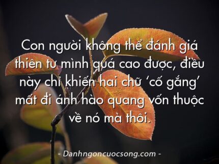 Con người không thể đánh giá thiên tư mình quá cao được, điều này chỉ khiến hai chữ ‘cố gắng’ mất đi ánh hào quang vốn thuộc về nó mà thôi.