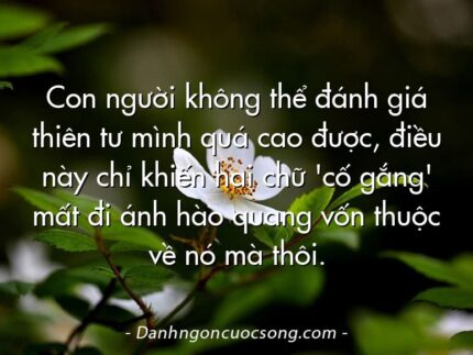 Con người không thể đánh giá thiên tư mình quá cao được, điều này chỉ khiến hai chữ 'cố gắng' mất đi ánh hào quang vốn thuộc về nó mà thôi.
