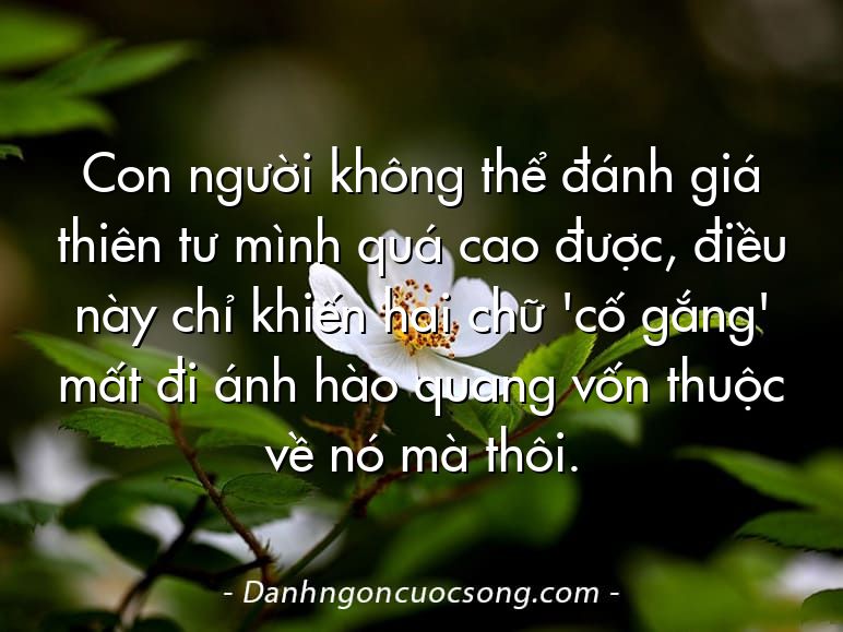 Con người không thể đánh giá thiên tư mình quá cao được, điều này chỉ khiến hai chữ 'cố gắng' mất đi ánh hào quang vốn thuộc về nó mà thôi.