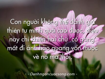 Con người không thể đánh giá thiên tư mình quá cao được, điều này chỉ khiến hai chữ ‘cố gắng’ mất đi ánh hào quang vốn thuộc về nó mà thôi.