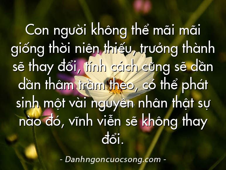 Con người không thể mãi mãi giống thời niên thiếu, trưởng thành sẽ thay đổi, tính cách cũng sẽ dần dần thâm trầm theo, có thể phát sinh một vài nguyên nhân thật sự nào đó, vĩnh viễn sẽ không thay đổi.