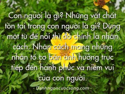 Con người là gì? Những vật chất tồn tại trong con người là gì? Dùng một từ để nói thì đó chính là nhân cách. Nhân cách mang những nhân tố cơ bản ảnh hưởng trực tiếp đến hạnh phúc và niềm vui của con người.