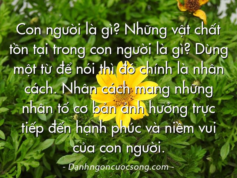 Con người là gì? Những vật chất tồn tại trong con người là gì? Dùng một từ để nói thì đó chính là nhân cách. Nhân cách mang những nhân tố cơ bản ảnh hưởng trực tiếp đến hạnh phúc và niềm vui của con người.