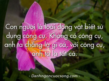 Con người là loài động vật biết sử dụng công cụ. Không có công cụ, anh ta chẳng là gì cả, với công cụ, anh ta là tất cả.