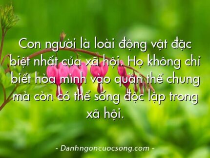 Con người là loài động vật đặc biệt nhất của xã hội. Họ không chỉ biết hòa mình vào quần thể chung mà còn có thể sống độc lập trong xã hội.