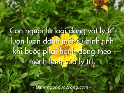 Con người là loài động vật lý trí luôn luôn đánh mất sự bình tĩnh khi buộc phải hành động theo mệnh lệnh của lý trí.