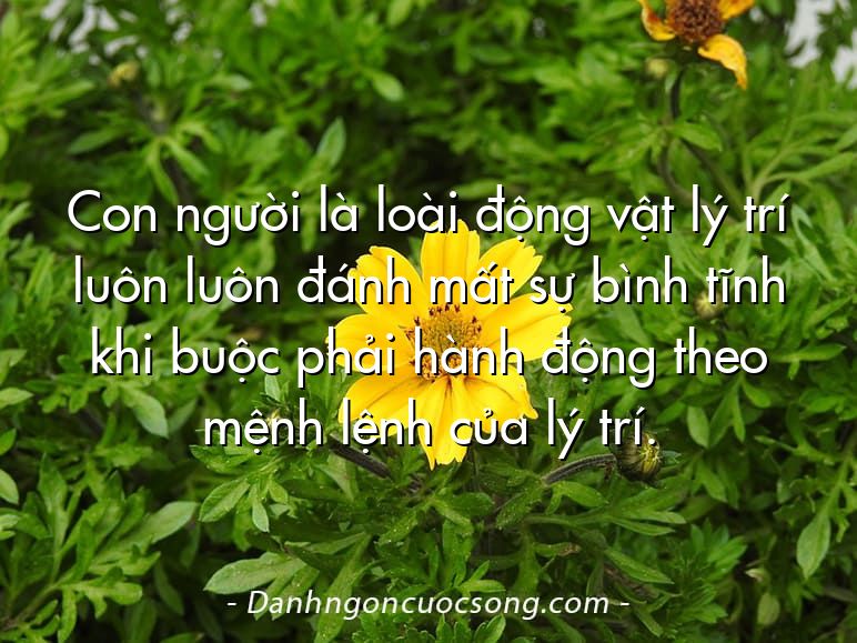 Con người là loài động vật lý trí luôn luôn đánh mất sự bình tĩnh khi buộc phải hành động theo mệnh lệnh của lý trí.