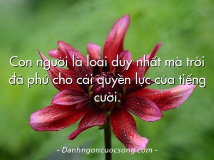Con người là loài duy nhất mà trời đã phú cho cái quyền lực của tiếng cười.