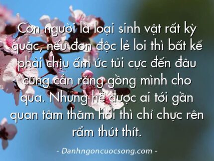 Con người là loại sinh vật rất kỳ quặc, nếu đơn độc lẻ loi thì bất kể phải chịu ấm ức tủi cực đến đâu cũng cắn răng gồng mình cho qua. Nhưng hễ được ai tới gần quan tâm thăm hỏi thì chỉ chực rên rẩm thút thít.