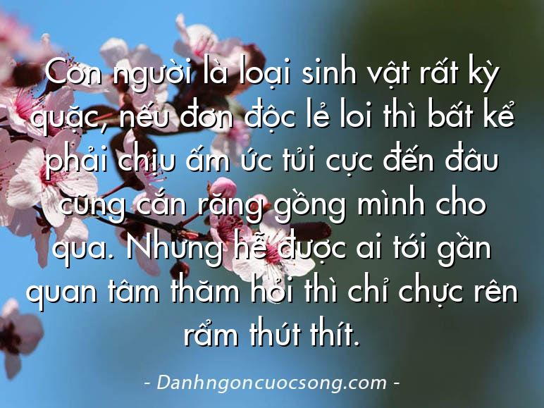 Con người là loại sinh vật rất kỳ quặc, nếu đơn độc lẻ loi thì bất kể phải chịu ấm ức tủi cực đến đâu cũng cắn răng gồng mình cho qua. Nhưng hễ được ai tới gần quan tâm thăm hỏi thì chỉ chực rên rẩm thút thít.