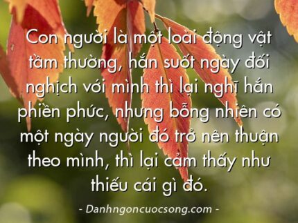 Con người là một loài động vật tầm thường, hắn suốt ngày đối nghịch với mình thì lại nghĩ hắn phiền phức, nhưng bỗng nhiên có một ngày người đó trở nên thuận theo mình, thì lại cảm thấy như thiếu cái gì đó.