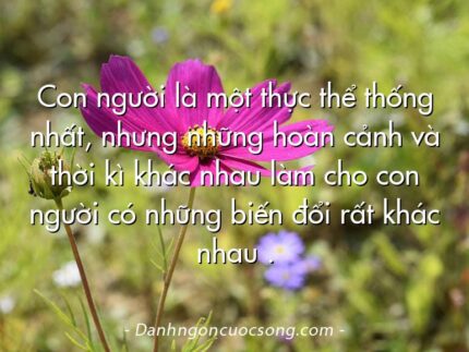 Con người là một thực thể thống nhất, nhưng những hoàn cảnh và thời kì khác nhau làm cho con người có những biến đổi rất khác nhau .
