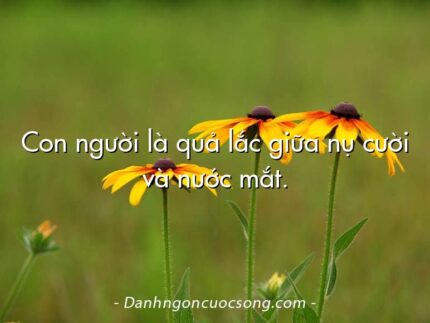 Con người là quả lắc giữa nụ cười và nước mắt.