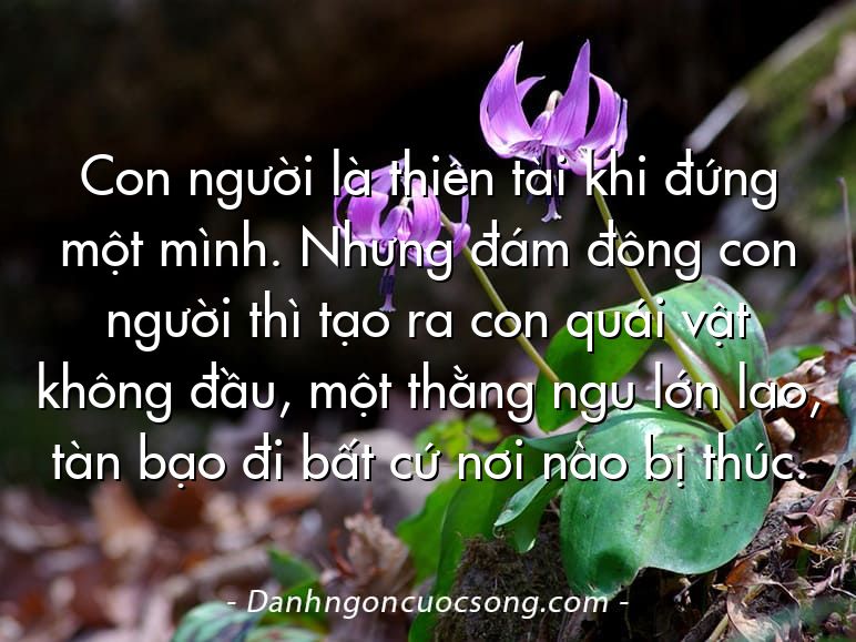 Con người là thiên tài khi đứng một mình. Nhưng đám đông con người thì tạo ra con quái vật không đầu, một thằng ngu lớn lao, tàn bạo đi bất cứ nơi nào bị thúc.