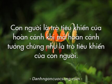 Con người là trò tiêu khiển của hoàn cảnh khi mà hoàn cảnh tưởng chừng như là trò tiêu khiển của con người.