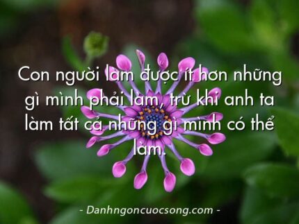 Con người làm được ít hơn những gì mình phải làm, trừ khi anh ta làm tất cả những gì mình có thể làm.