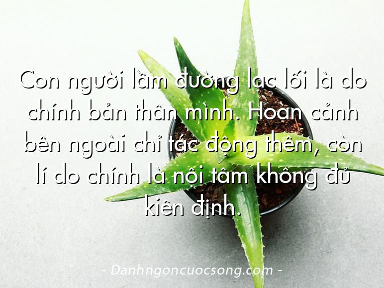 Con người lầm đường lạc lối là do chính bản thân mình. Hoàn cảnh bên ngoài chỉ tác động thêm, còn lí do chính là nội tâm không đủ kiên định.