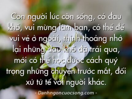 Con người lúc còn sống, có đau khổ, vui mừng làm bạn, có thể để vui vẻ ở ngoài, thỉnh thoảng nhớ lại những đau khổ đã trải qua, mới có thể học được cách quý trọng những chuyện trước mắt, đối xử tử tế với người khác.
