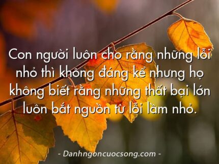 Con người luôn cho rằng những lỗi nhỏ thì không đáng kể nhưng họ không biết rằng những thất bại lớn luôn bắt nguồn từ lỗi lầm nhỏ.