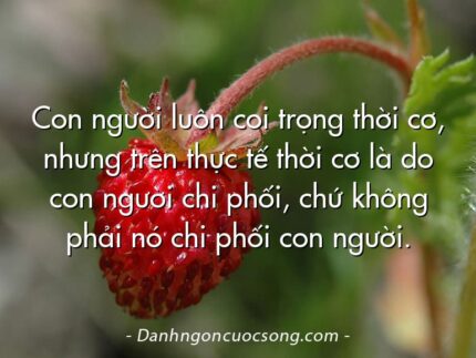 Con người luôn coi trọng thời cơ, nhưng trên thực tế thời cơ là do con người chi phối, chứ không phải nó chi phối con người.