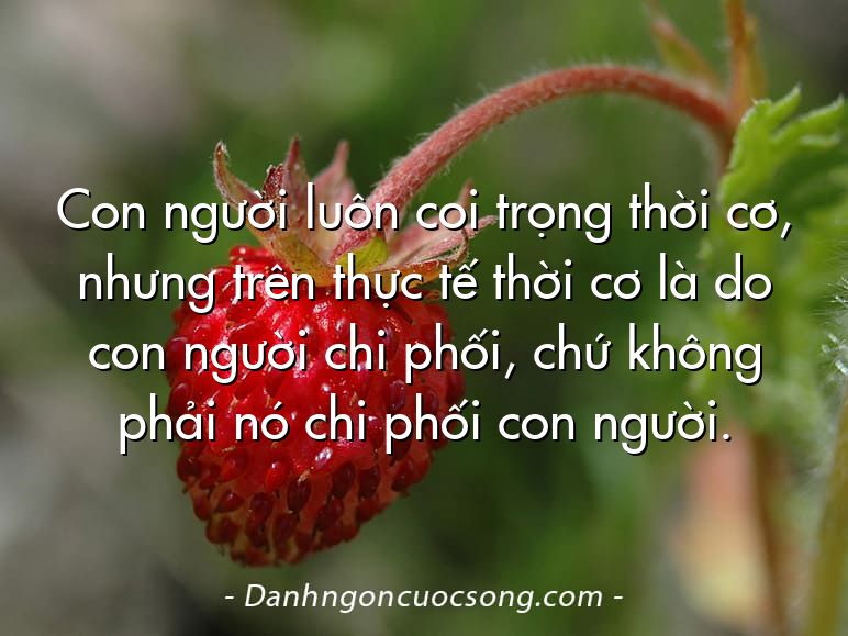 Con người luôn coi trọng thời cơ, nhưng trên thực tế thời cơ là do con người chi phối, chứ không phải nó chi phối con người.