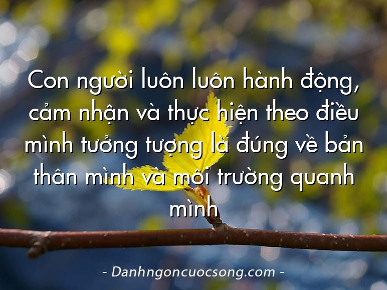 Con người luôn luôn hành động, cảm nhận và thực hiện theo điều mình tưởng tượng là đúng về bản thân mình và môi trường quanh mình