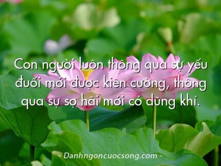 Con người luôn thông qua sự yếu đuối mới được kiên cường, thông qua sự sợ hãi mới có dũng khí.
