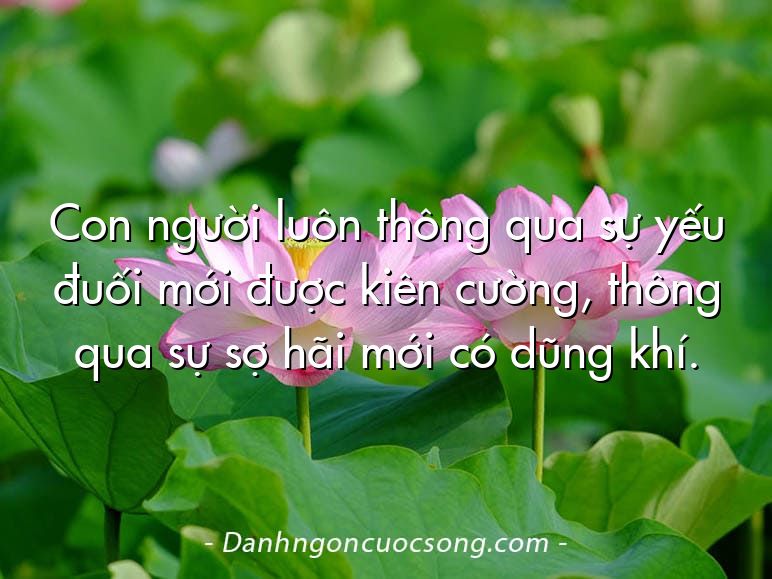 Con người luôn thông qua sự yếu đuối mới được kiên cường, thông qua sự sợ hãi mới có dũng khí.