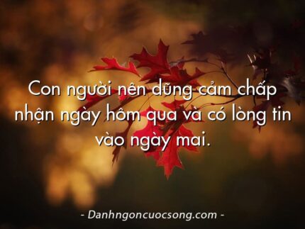 Con người nên dũng cảm chấp nhận ngày hôm qua và có lòng tin vào ngày mai.